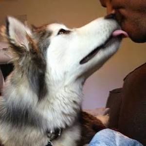 Meet your Posher, Justin